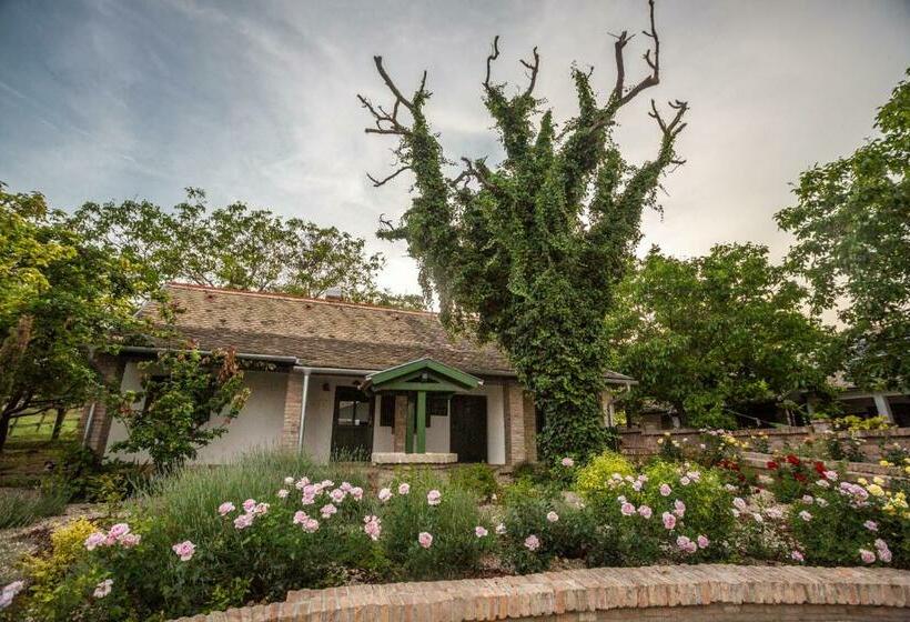 Президентский Люкс, Provence Birtok