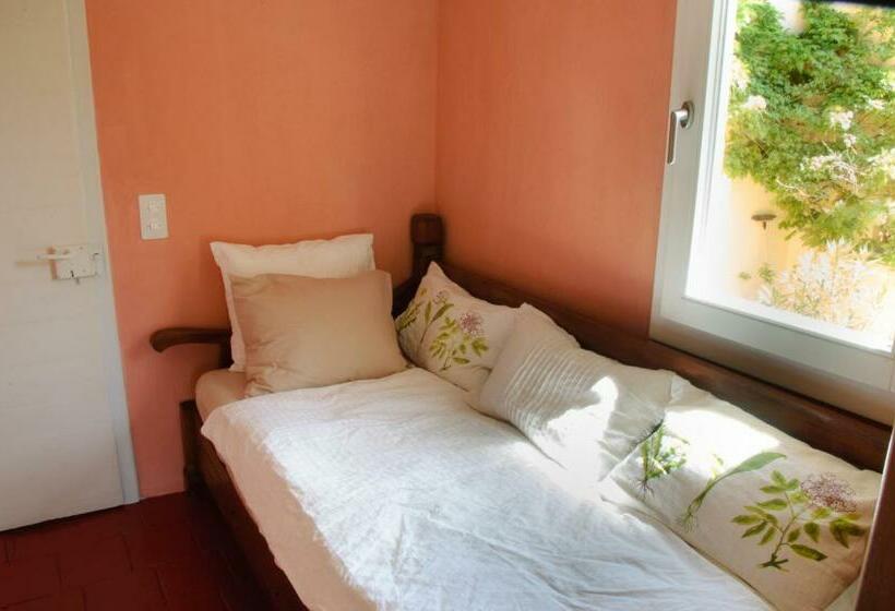 חדר יחיד עם טרסה, Chez Marianne Chambres D Hôtes