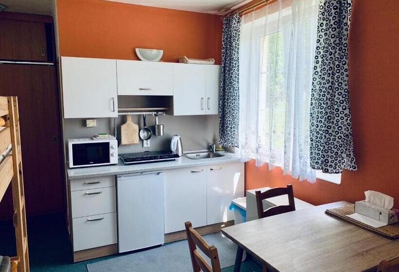 דירת חדר בקומת קרקע, Apartmány Na Horce