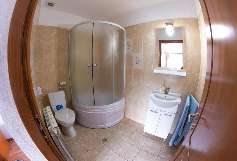 Номер Стандарт Вид на Горы, Casa Andreea