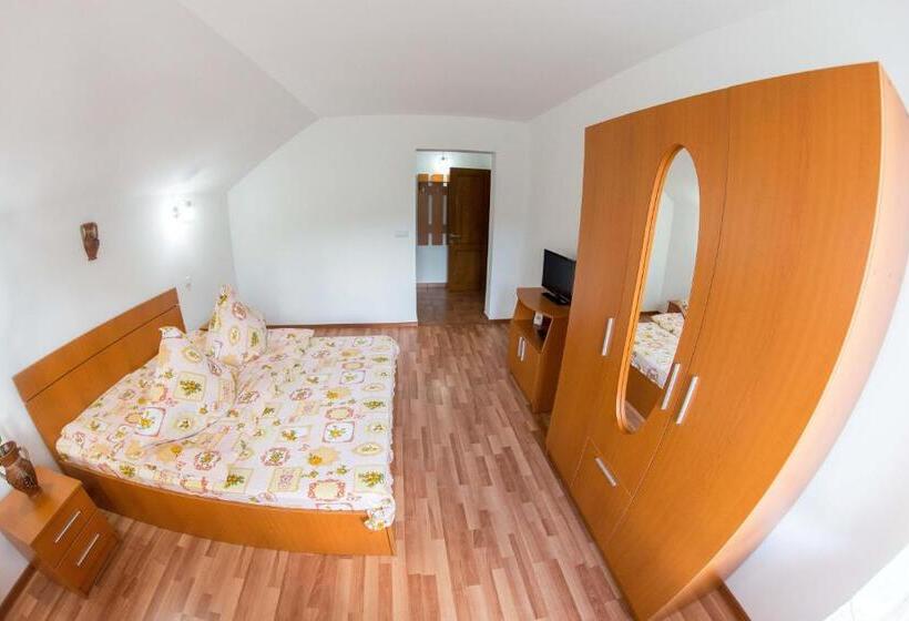 Номер Стандарт Вид на Горы, Casa Andreea