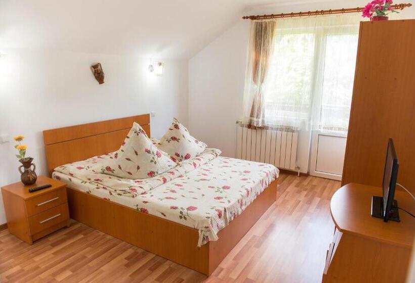 Номер Стандарт Вид на Горы, Casa Andreea