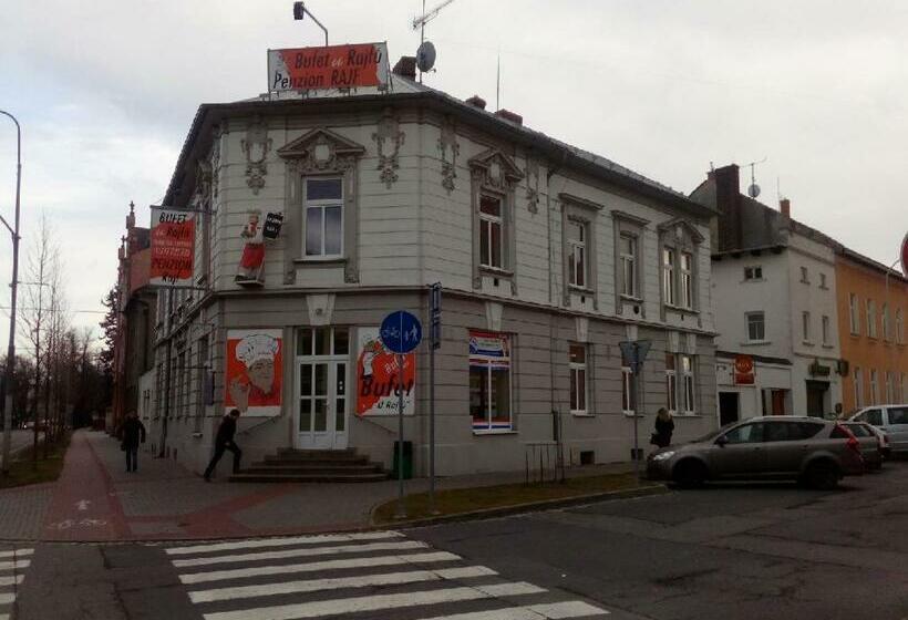 חדר סטנדרט יחיד, Penzion Rajf