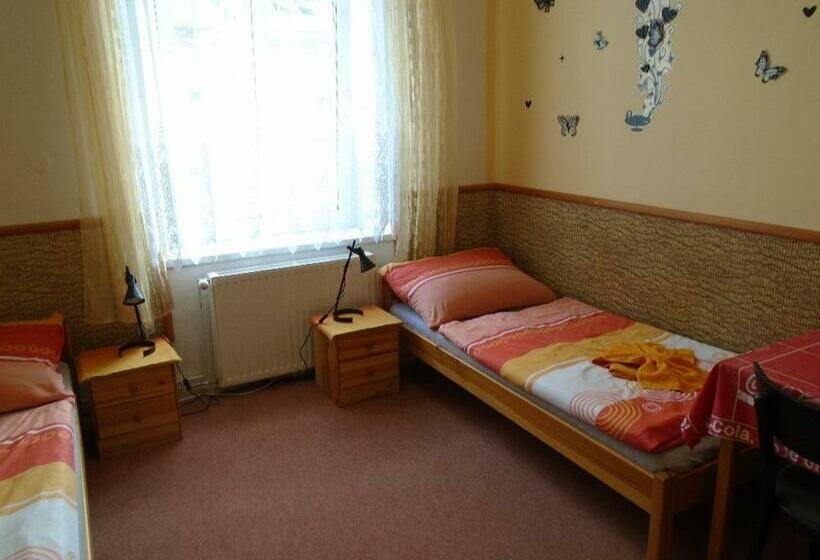 חדר סטנדרט, Penzion Rajf