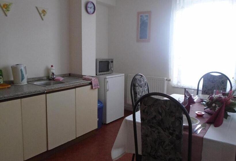 חדר סטנדרט, Penzion Rajf