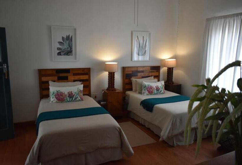 スタンダードルーム, Steytlerville Royal