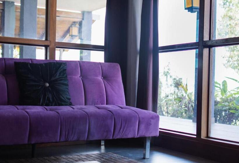 스탠다드 룸 킹사이즈 침대, Punta Duarte Garden Inn