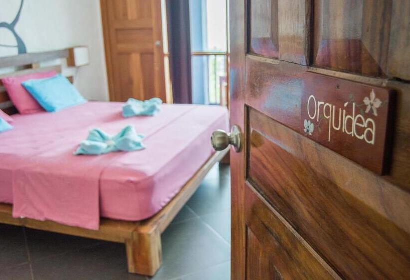 带海景的标准房, Punta Duarte Garden Inn