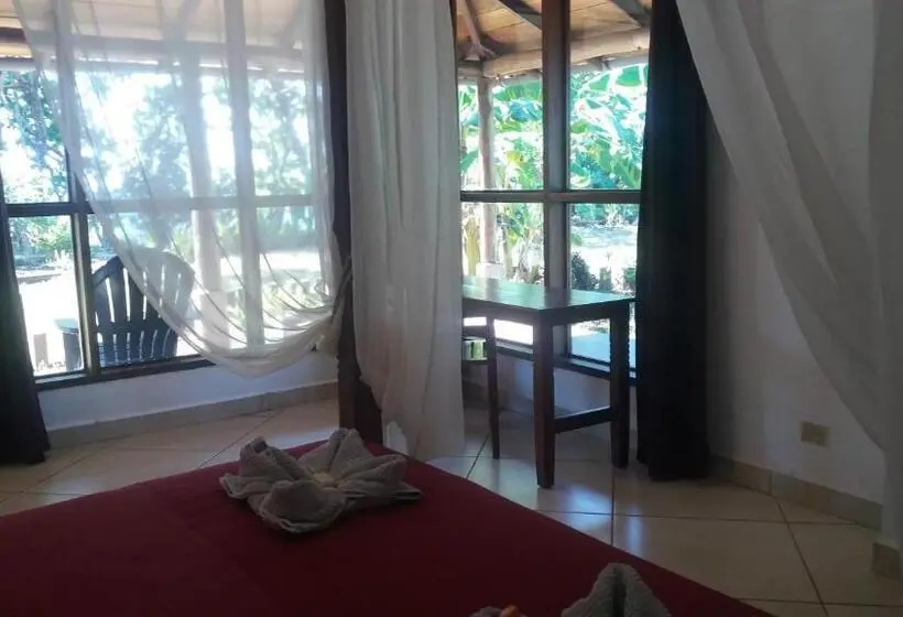 キングサイドベッドのスタンダードワンルーム, Punta Duarte Garden Inn