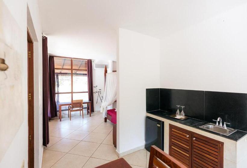 带大床的标准工作室, Punta Duarte Garden Inn