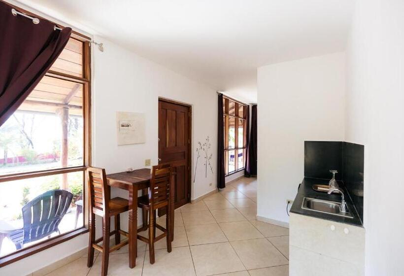 스탠다드 스튜디오 킹침대, Punta Duarte Garden Inn