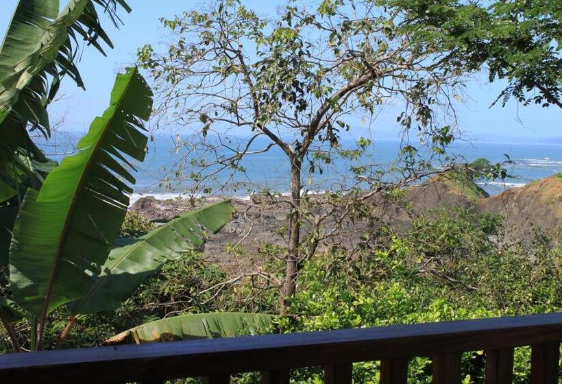 豪华海景房带阳台, Punta Duarte Garden Inn