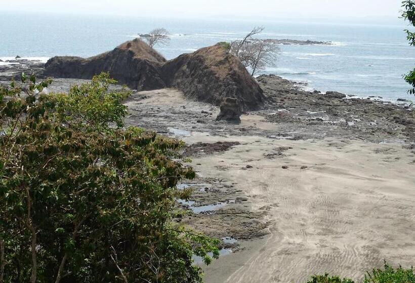 带大床的豪华间, Punta Duarte Garden Inn