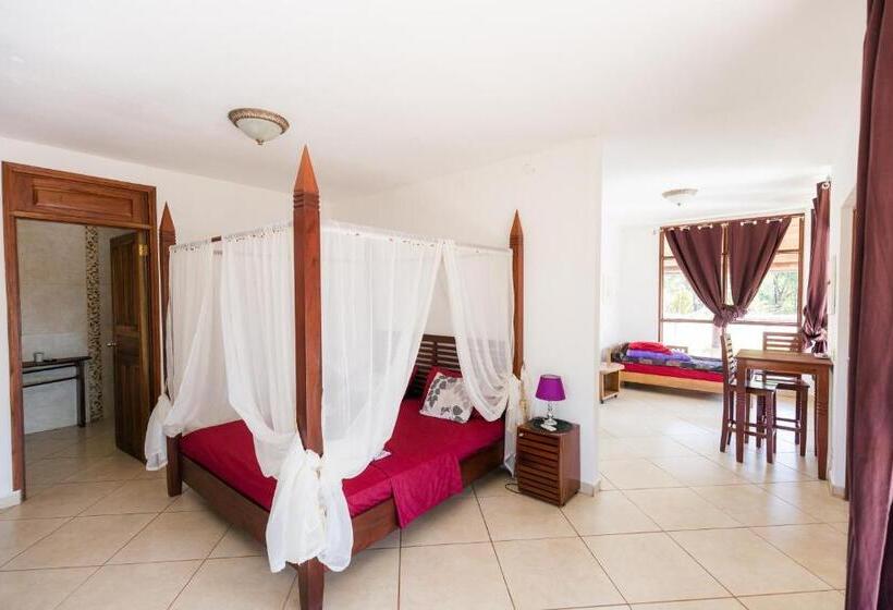 Estúdio standard Cama King, Punta Duarte Garden Inn