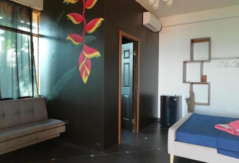 디럭스 룸 바다 전망, Punta Duarte Garden Inn
