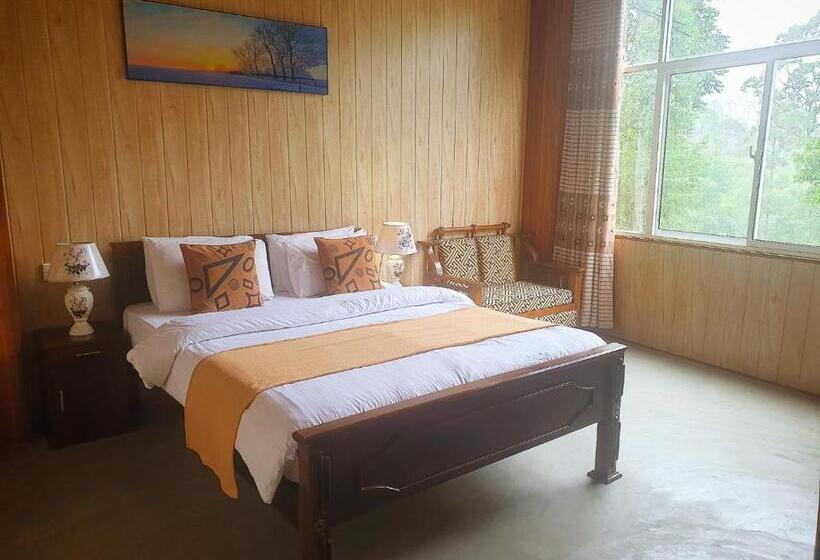 Quarto Superior, Daddy's Guest Home