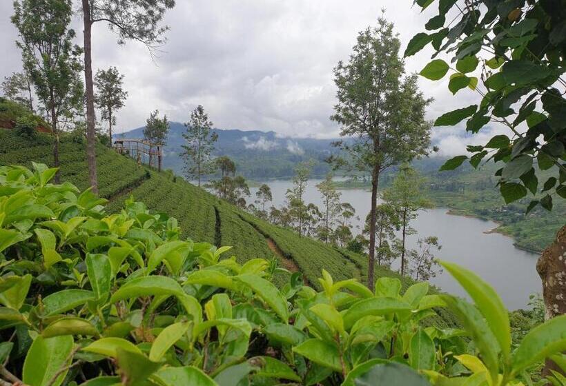 Quarto Familiar Deluxe, Daddy's Guest Home