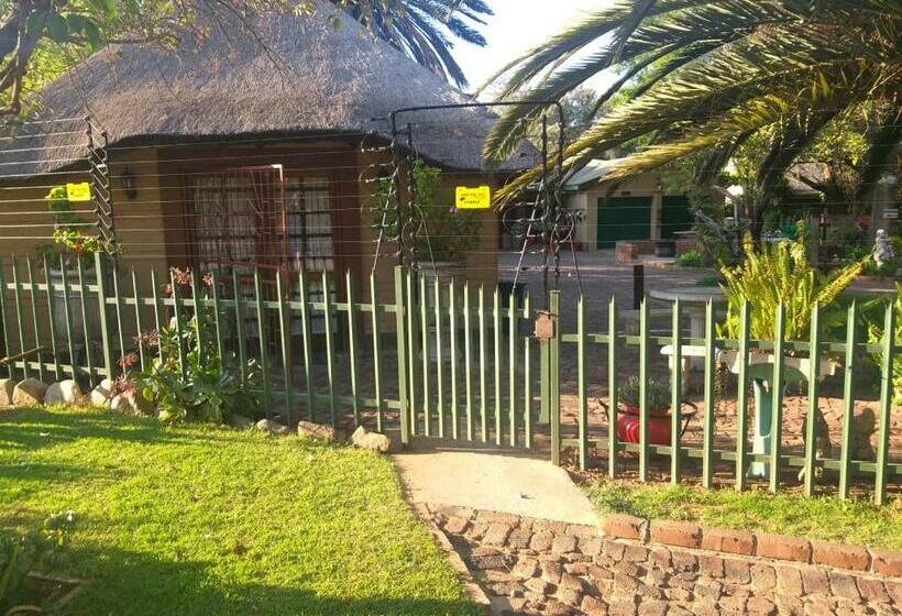 スタンダードスタジオ, Schweizer Guesthouse