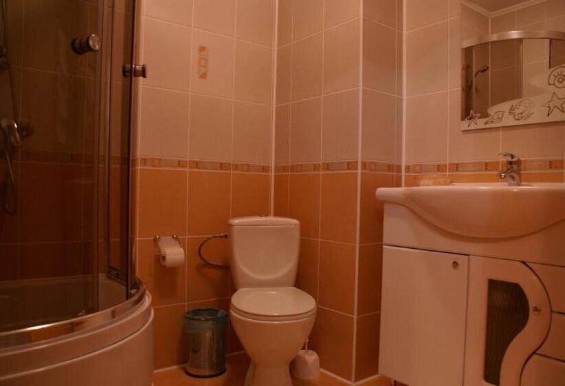 اتاق استاندارد سه نفره, Complex Vivcharyk