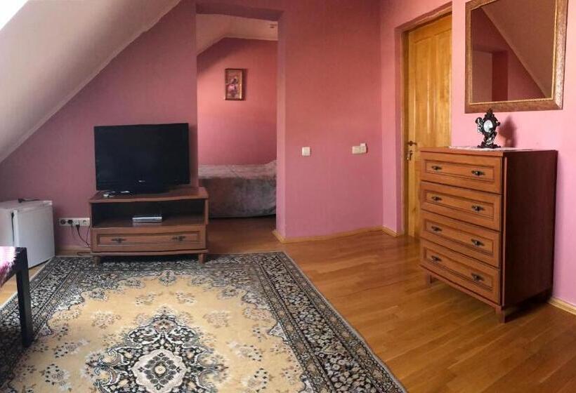 اتاق سوپریور, Complex Vivcharyk