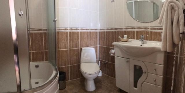 اتاق سوپریور, Complex Vivcharyk