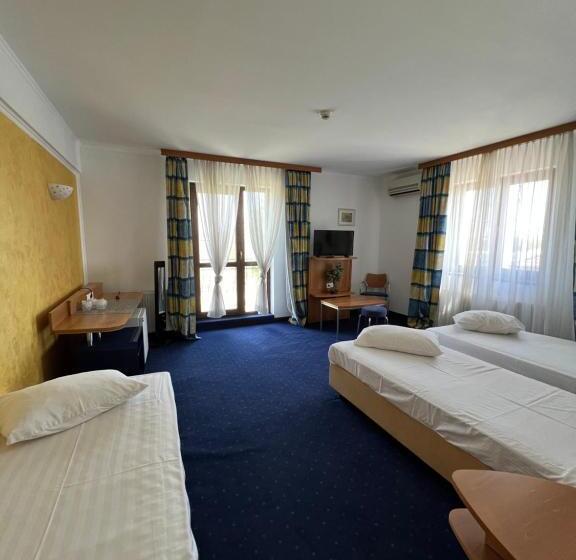 スタンダードトリプルルーム, Doi Taurasi