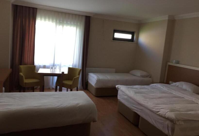 חדר משפחתי, Emsa Palace