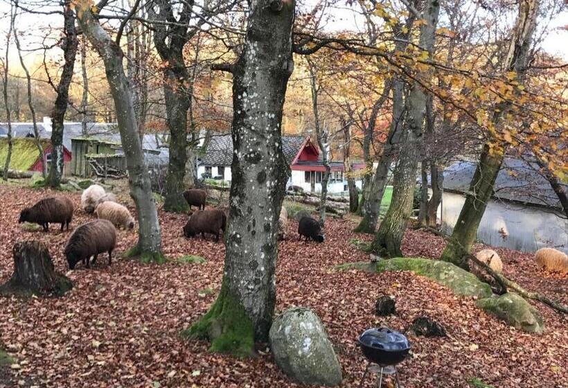 Дом 1 Спальня, Farm Stay Happy Dogs Ranch