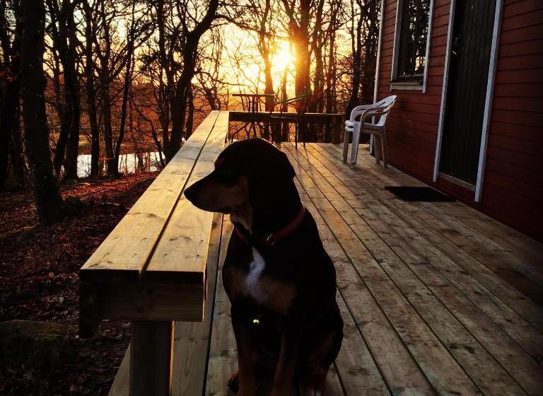 Дом 1 Спальня, Farm Stay Happy Dogs Ranch