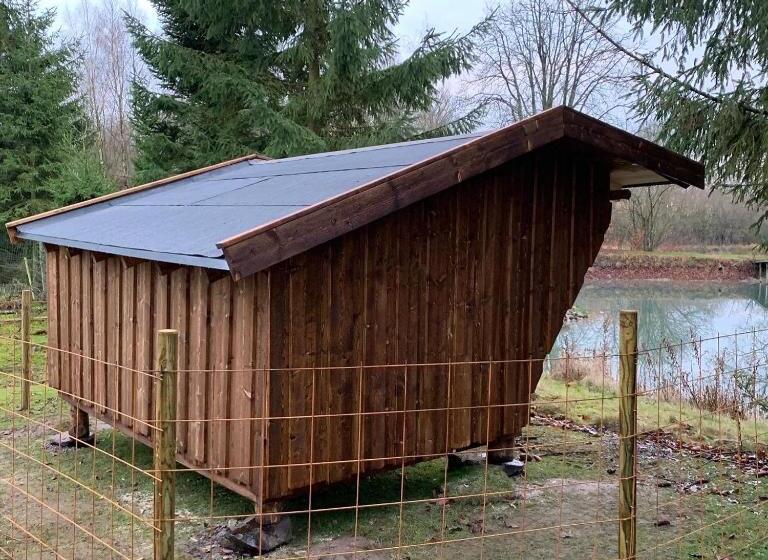 Номер Стандарт, Farm Stay Happy Dogs Ranch