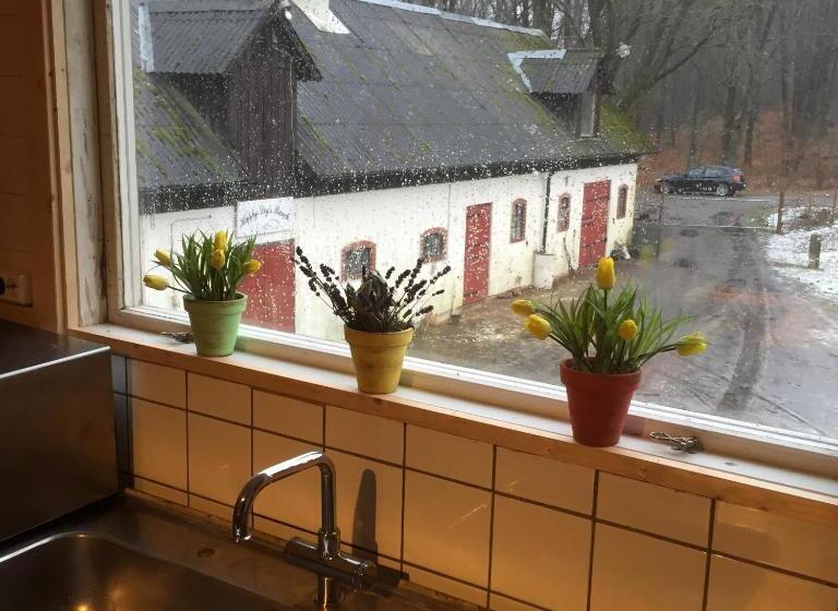 Номер Стандарт, Farm Stay Happy Dogs Ranch