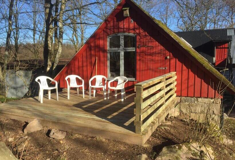 Номер Стандарт, Farm Stay Happy Dogs Ranch