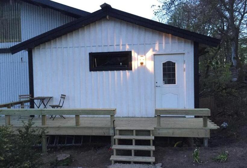 Студио Стандарт с Балконом, Farm Stay Happy Dogs Ranch