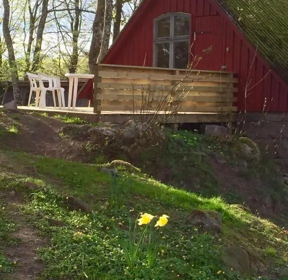 スタンダードルーム, Farm Stay Happy Dogs Ranch
