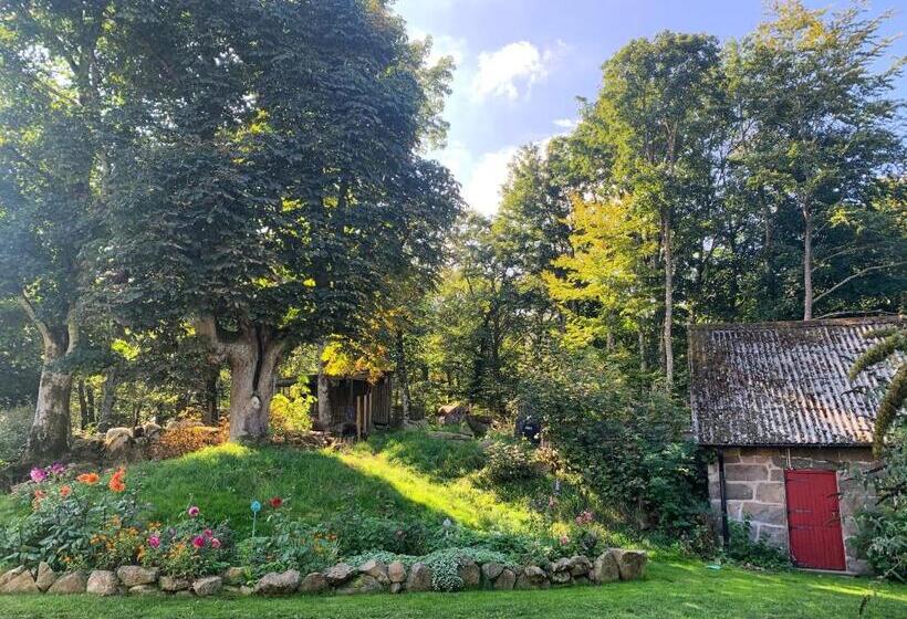 Номер Стандарт, Farm Stay Happy Dogs Ranch