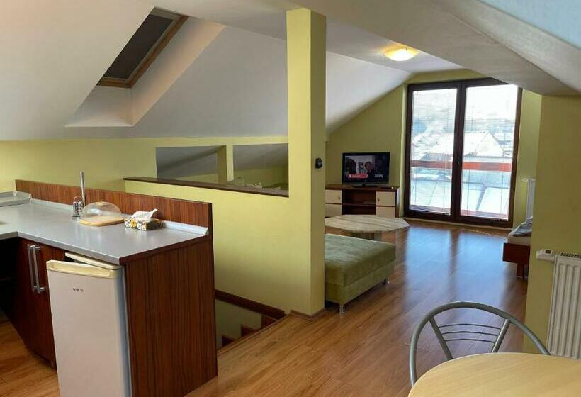 수피리어 스튜디오, Penzión Tulip