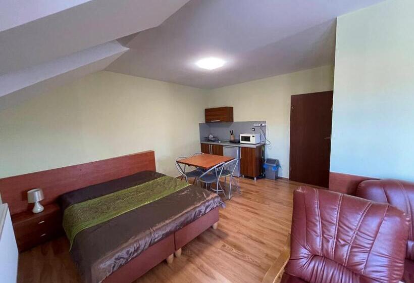 스탠다드 스튜디오 (전망), Penzión Tulip