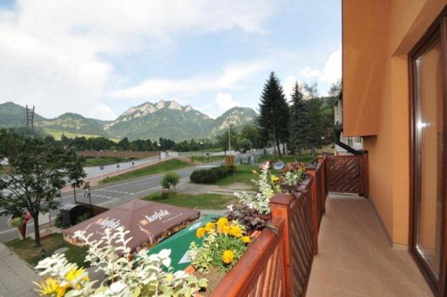 스탠다드 스튜디오 (전망), Penzión Tulip