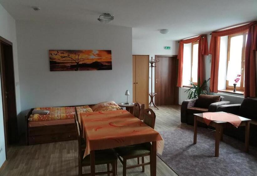 Апартаменты 1 Спальня Нижний Этаж, Penzion Pod Zámkem