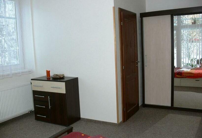 스탠다드 룸 가든 전망, Penzion Továrníkova Vila