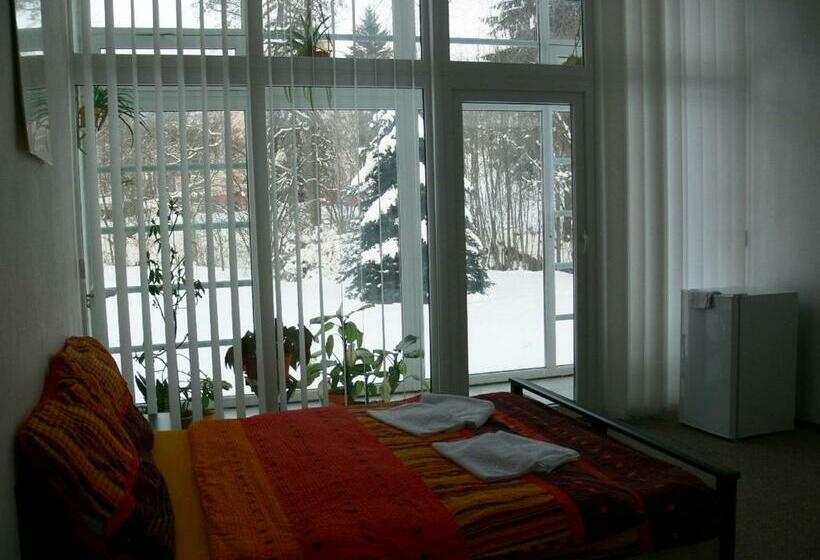 스탠다드 룸 가든 전망, Penzion Továrníkova Vila