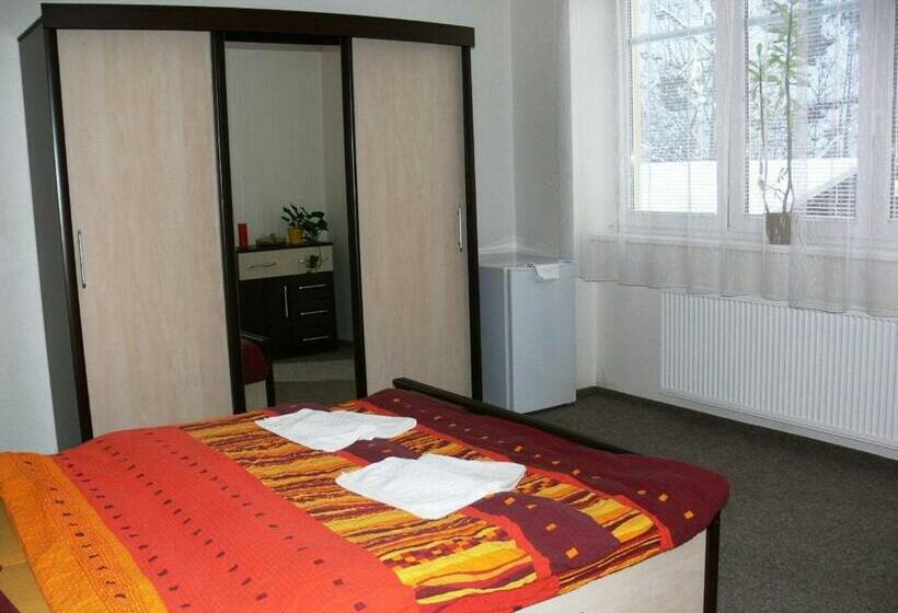 스탠다드 룸, Penzion Továrníkova Vila