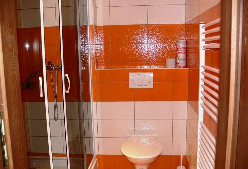 스탠다드 룸, Penzion Továrníkova Vila