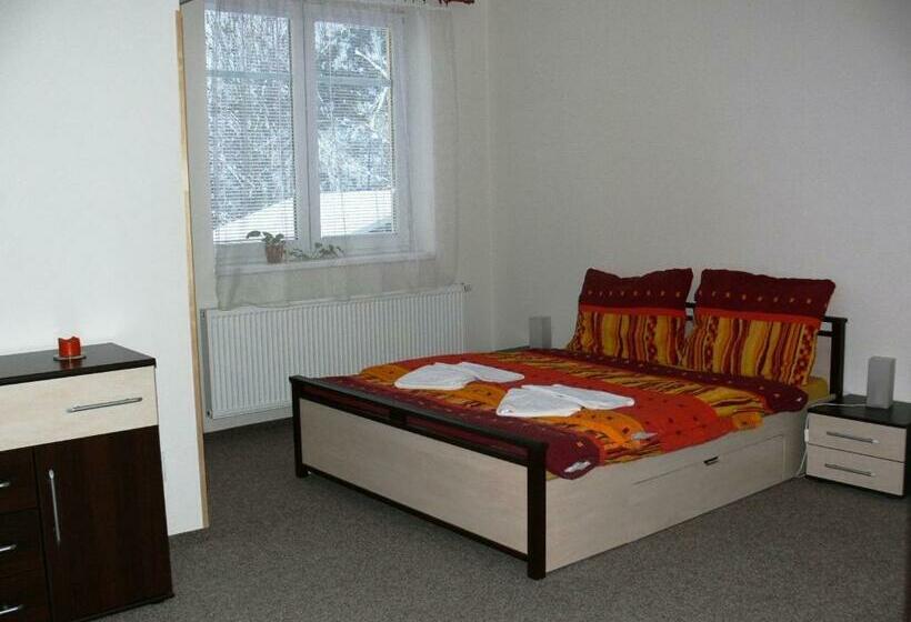 스탠다드 룸, Penzion Továrníkova Vila