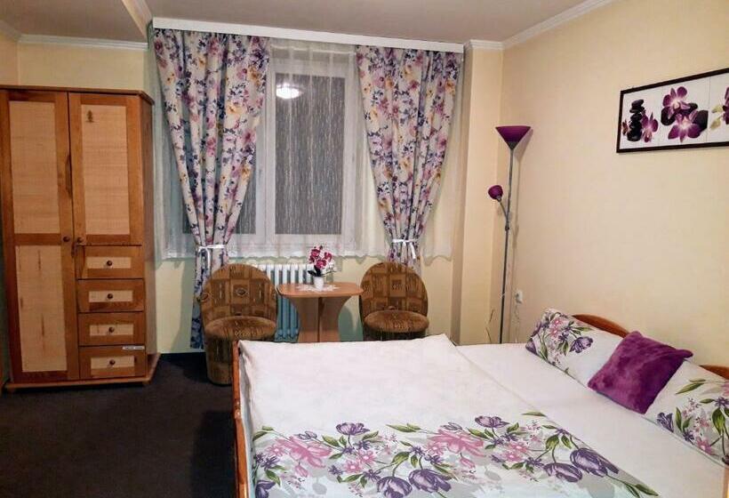 חדר סטנדרט, Penzion U šimona