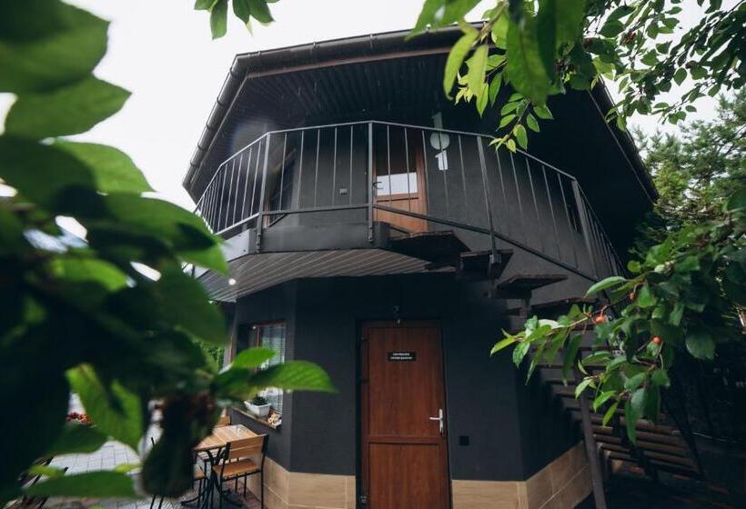 Номер Стандарт Вид на Бассейн, Avalon Hotel&pool