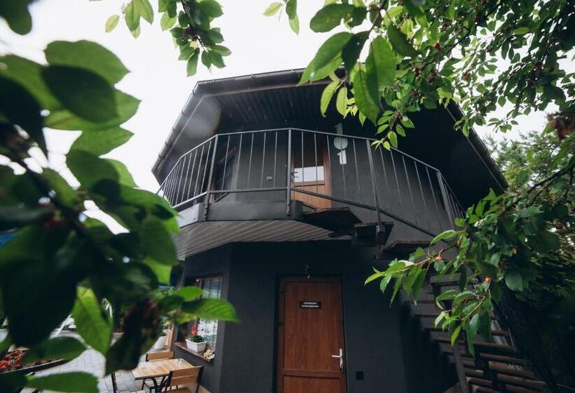 Номер Стандарт Вид на Бассейн, Avalon Hotel&pool