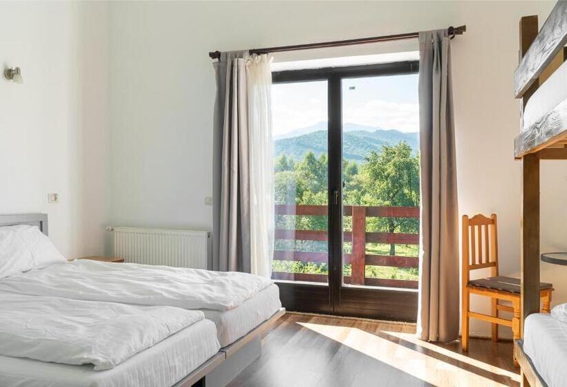 غرفة قياسية رباعية, Pensiunea Ana Vistisoara