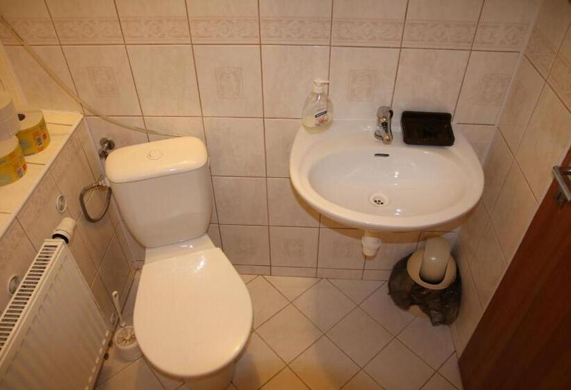 غرفة قياسية, Penzion Valovi