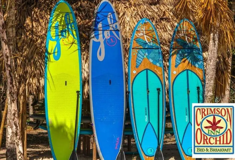 デラックスルーム, The Crimson Orchid Inn At Orchid Bay